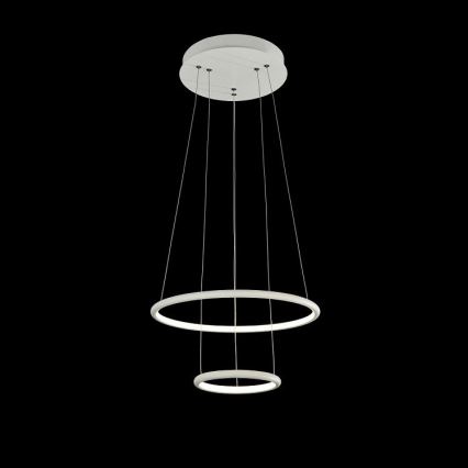 LED Hängeleuchte NOLA LED/36W/230W