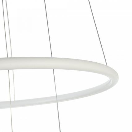 LED Hängeleuchte NOLA LED/36W/230W
