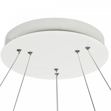 Lampadario LED a sospensione con filo NOLA LED/85W/230V