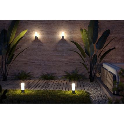 Maytoni O418WL-01GR - Applique da esterno WILLIS 1xE27/60W/230V IP54 antracite