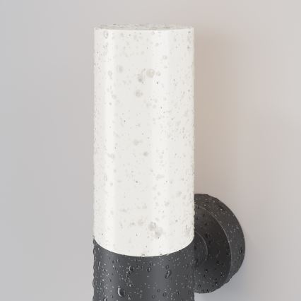 Maytoni O418WL-01GR - Applique murale extérieure WILLIS 1xE27/60W/230V IP54 anthracite