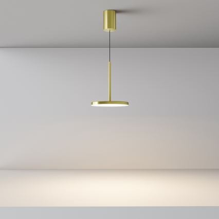 Maytoni P076PL-L12W3K-BS - Lampadario LED a sospensione con filo PLATO LED/12W/230V 3000K oro