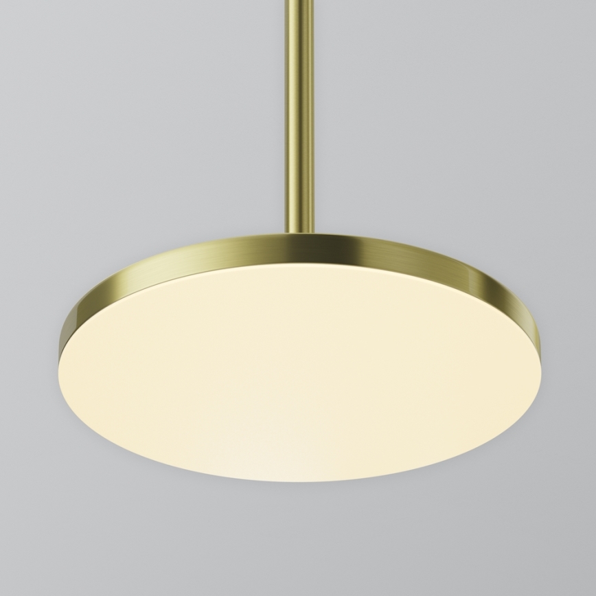 Maytoni P076PL-L12W3K-BS - Lampadario LED a sospensione con filo PLATO LED/12W/230V 3000K oro