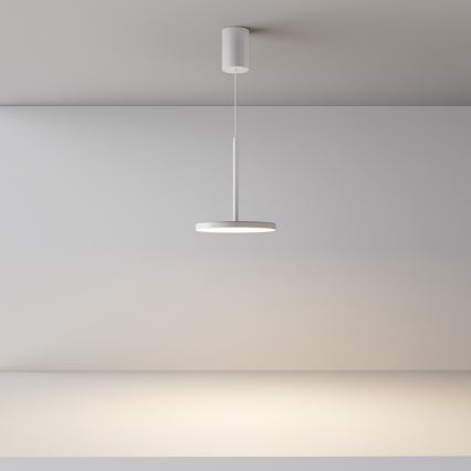 Maytoni P076PL-L12W3K-W - Lampadario LED a sospensione con filo PLATO LED/12W/230V 3000K bianco