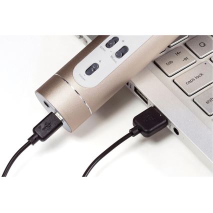 Microfono karaoke 6W/5V 1500 mAh Bluetooth dorato