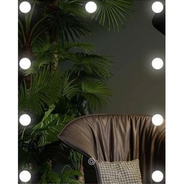 Miroir avec éclairage 9xLED/1W/230V 3000/4000/6000K 50x40 cm IP44