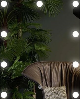 Miroir avec éclairage 9xLED/1W/230V 3000/4000/6000K 50x40 cm IP44