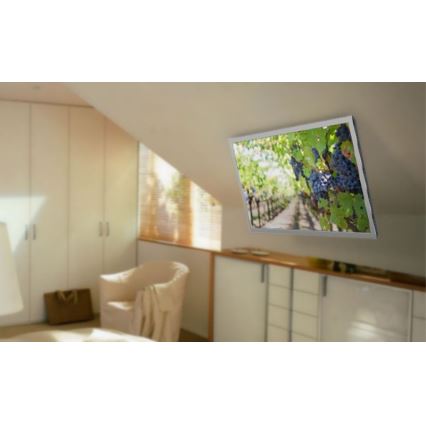 MK FLORIA MKF-20DM444 - Smart-Deckenhalterung für TV 55" schwarz Wi-Fi TUYA + Fernbedienung