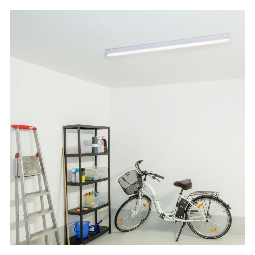 Müller-Licht - Lampe fluorescente BASIC LED/15W/230V 60 cm