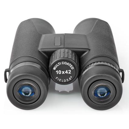 Binocolo binoculare 10x42
