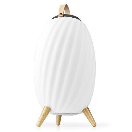 LED RGB Ricaricabile lampada da tavolo con altoparlante 60W/2200 mAh IPX5