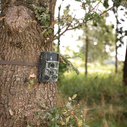 Wildkamera mit Sensor 24MP Full HD 8xAA IP66