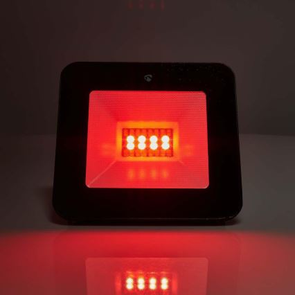 Proiettore dimmerabile RGBW a spina SmartLife LED/20W/230V Wi-Fi IP65 2700-6500K