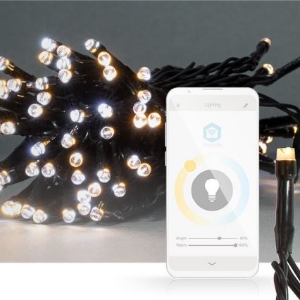 Catena luminosa LED 50 LED/8 modalità 5 m IP65 Wi-Fi Tuya