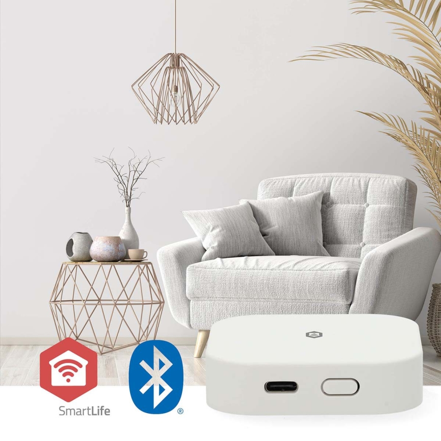 Hub intelligente SmartLife 5V Wi-Fi