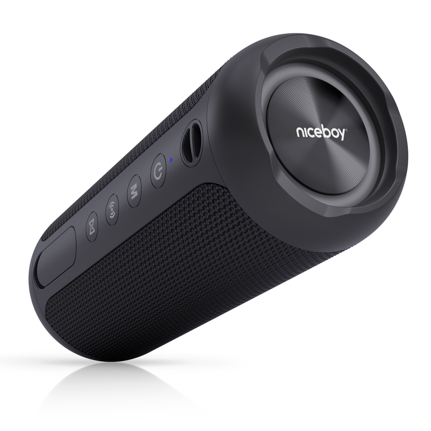 Niceboy Polaris - Altoparlante wireless LED con microfono 30W/2000 mAh IPX7 nero