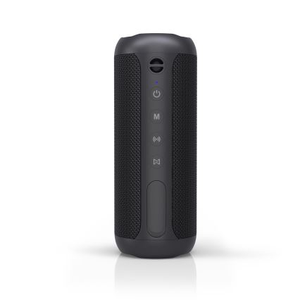 Niceboy Polaris - Altoparlante wireless LED con microfono 30W/2000 mAh IPX7 nero