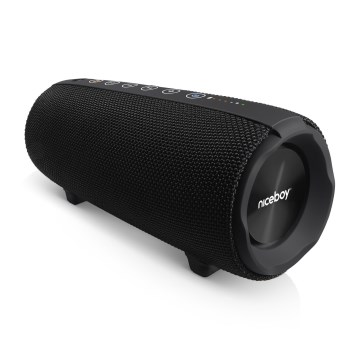 Niceboy Titan 4 - LED Autoparlante wireless con microfono e power bank funzione 50W/4000 mAh IPX7 nero