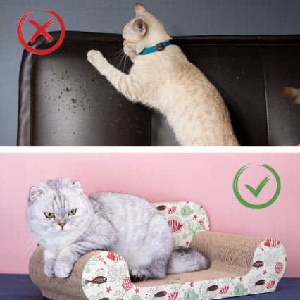 Nobleza - Griffoir pour chats