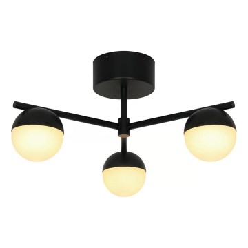 Nordlux - Anbauleuchte CONTINA 3xG9/5W/230V schwarz