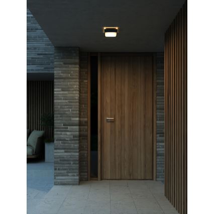 Nordlux - Applique a LED da esterno OLIVER LED/9W/230V IP54 17,5x17,5 cm