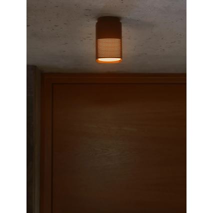 Nordlux - Außen-Deckenleuchte SIDARA 1xE27/15W/230V IP54 braun