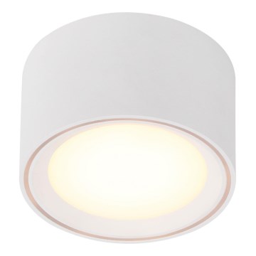Nordlux - Faretto LED dimmerabile FALLON LED/5,5W/230V bianco
