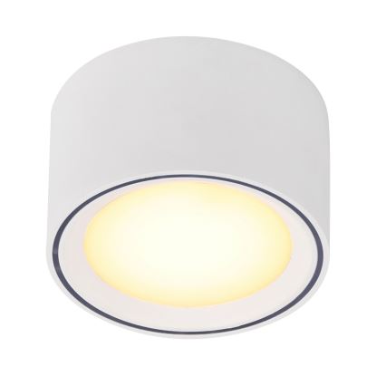 Nordlux - Faretto LED FALLON LED/5,5W/230V bianco