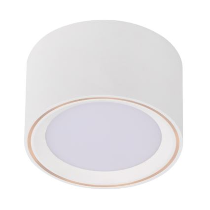 Nordlux - Faretto LED FALLON LED/5,5W/230V bianco