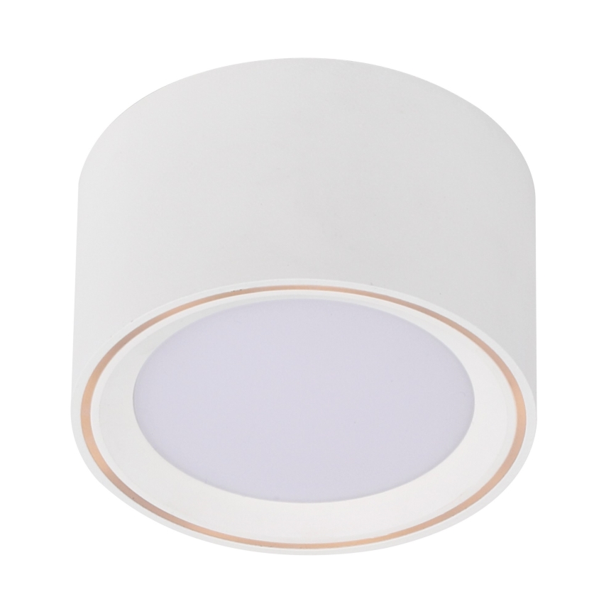 Nordlux - Faretto LED FALLON LED/5,5W/230V bianco