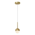 Nordlux - Lampadario su cavo CONTINA 1xG9/5W/230V ottone