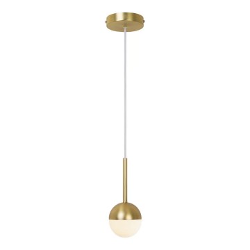 Nordlux - Lampadario su cavo CONTINA 1xG9/5W/230V ottone
