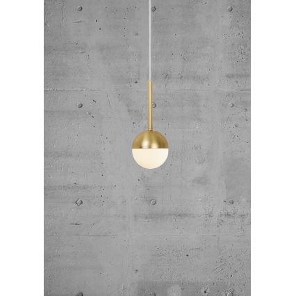 Nordlux - Lampadario su cavo CONTINA 1xG9/5W/230V ottone