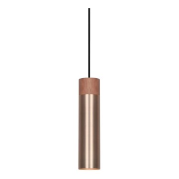Nordlux - Lampadario su cavo TILO 1xGU10/15W/230V ottone