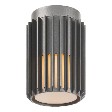 Nordlux - Plafoniera da esterno ALUDRA 1xE27/15W/230V antracite