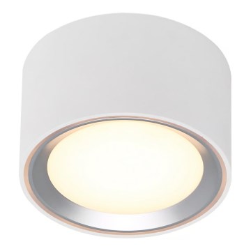 Nordlux - Plafoniera LED dimmerabile FALLON LED/5,5W/230V 2700K bianco