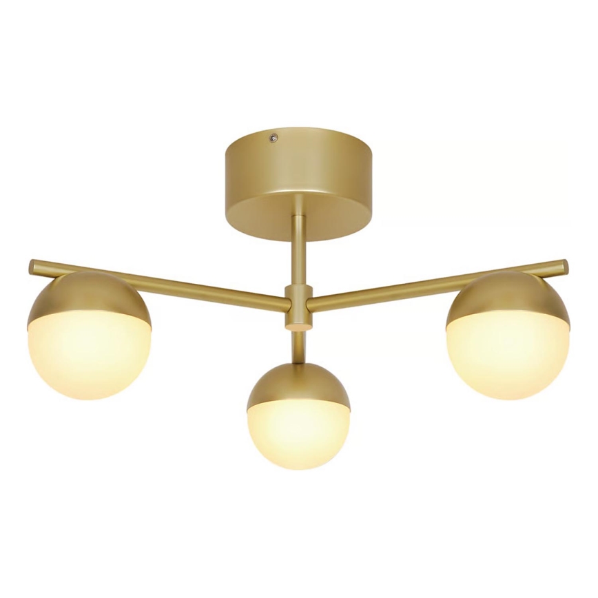 Nordlux - Plafonnier CONTINA 3xG9/5W/230V laiton