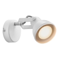 Nordlux - Wandstrahler ASLAK 1xGU10/35W/230V weiß
