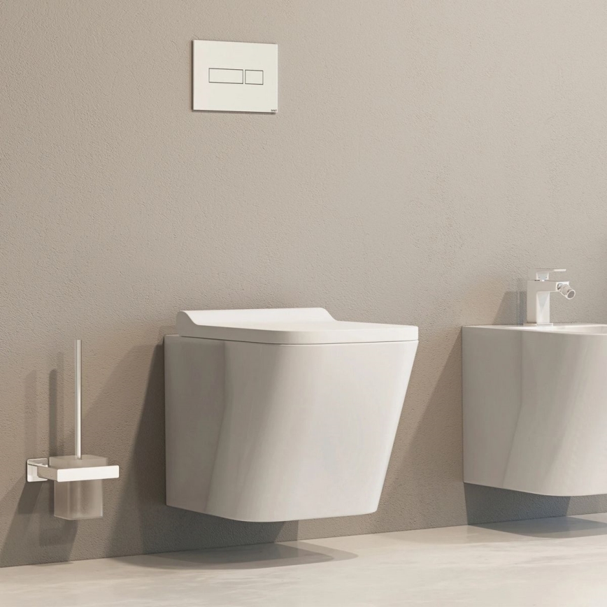OMNIRES NL80620CR - Brosse de toilette à fixation murale NELSON chrome brillant