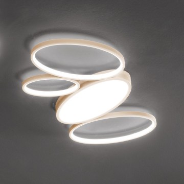 Ondaluce - LED-Deckenleuchte RICE, dimmbar, 34W/230V, 45x80 cm, goldfarben