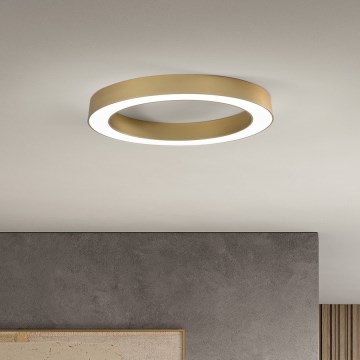 Ondaluce - Plafoniera LED dimmerabile GLOBUS LED/40W/230V 3000/4000K Ø 60 cm dorata