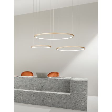 Ondaluce - Suspension LED dimmable sur câble SOEL LED/38W/230V Ø 80 cm dorée