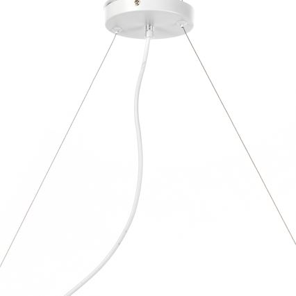 ONLI - Lampadario a sospensione con filo TRIO 3xE14/6W/230V bianco