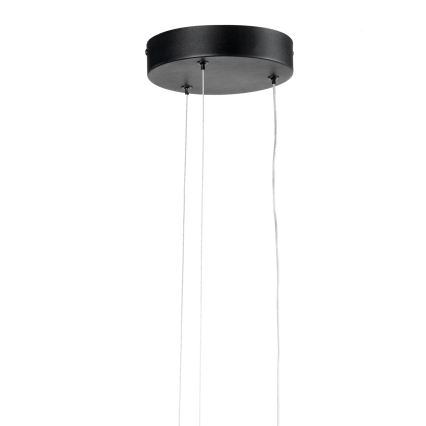 ONLI - Lampadario LED a sospensione con filo DAFNE LED/30W/230W 4000K nero