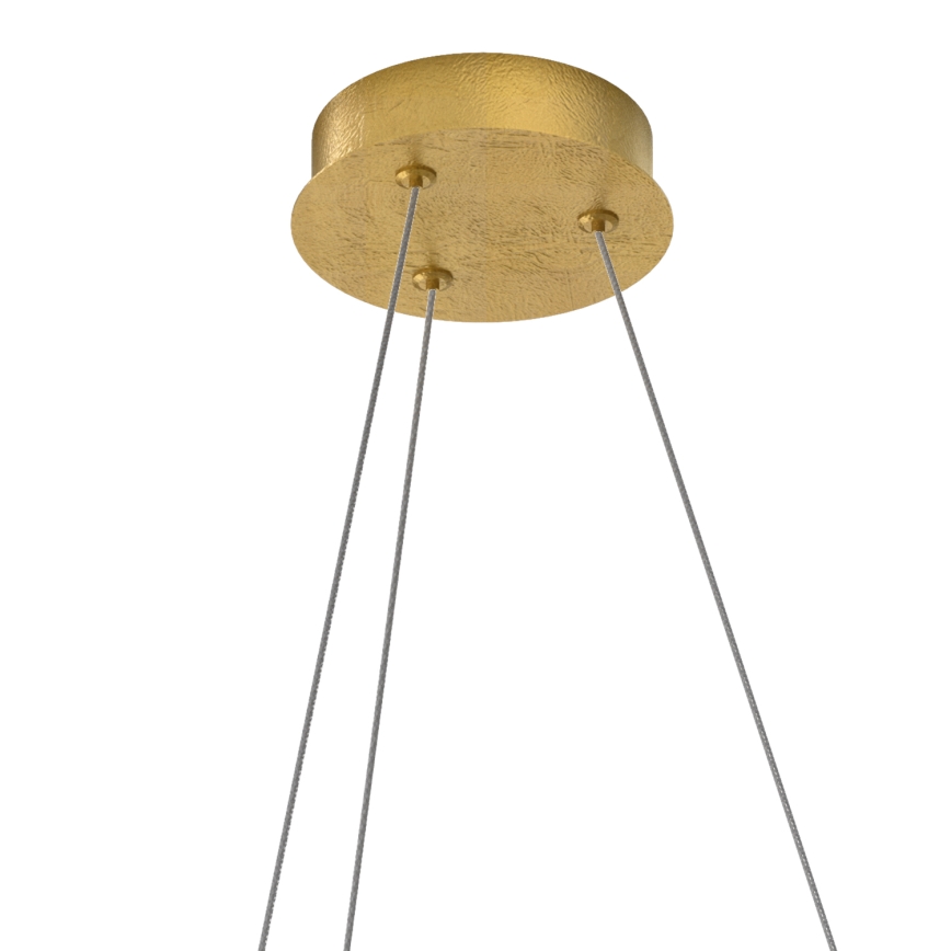 ONLI - Lampadario LED a sospensione con filo LIBERTY LED/30W/230V 4000K oro