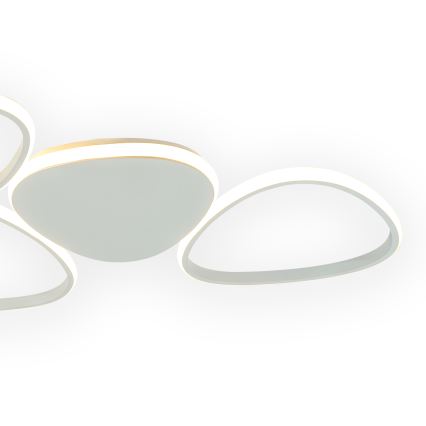 ONLI - Plafoniera LED ROMEO LED/48W/230V 4000K bianco