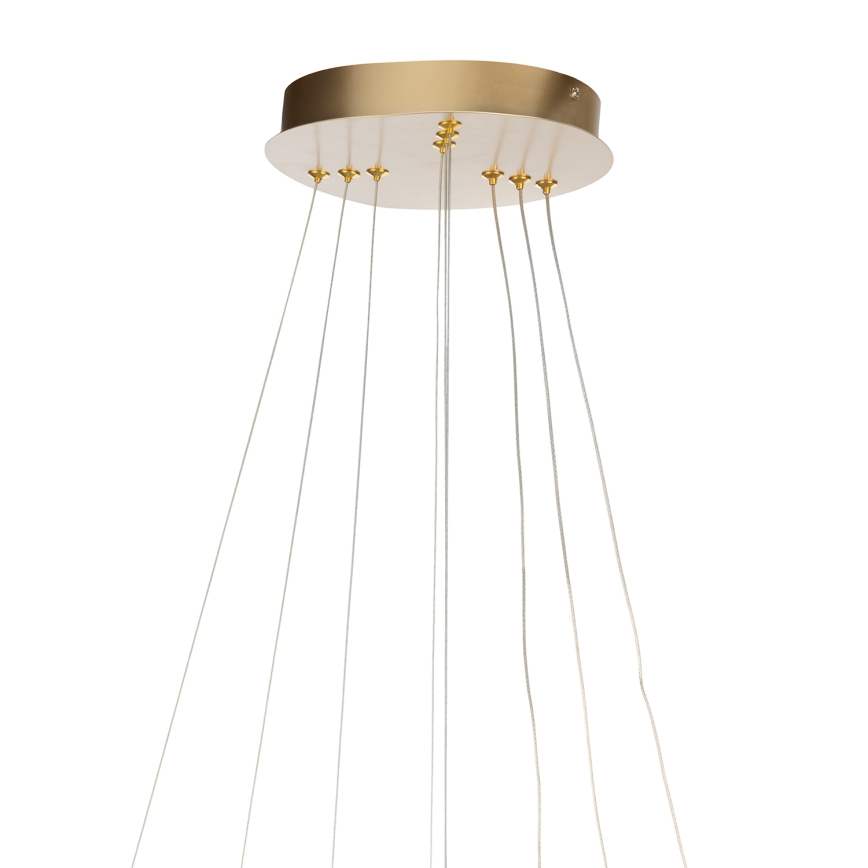 ONLI - Suspension LED sur câble NOELIA LED/40W/230V dorée