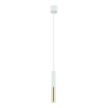 Open Design OR80841 - Pendelleuchte SLIMI an Kabel, 1xG9/3,5W/230V, weiß/gold