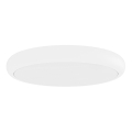 Open Design OR86218 - Plafoniera LED PIATTO LED/55W/230V 3000/4500/6500K Ø 60 cm bianca