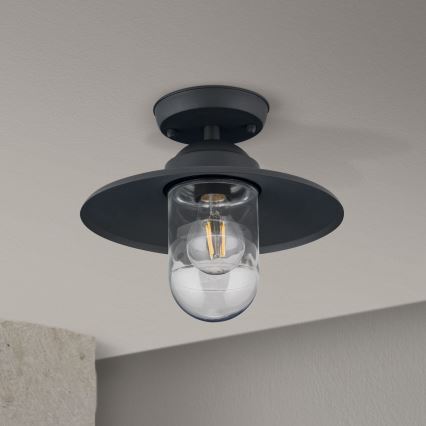Aufgesetzte Außen-Deckenleuchte EDWARD 1xE27/60W/230V IP44 anthrazit